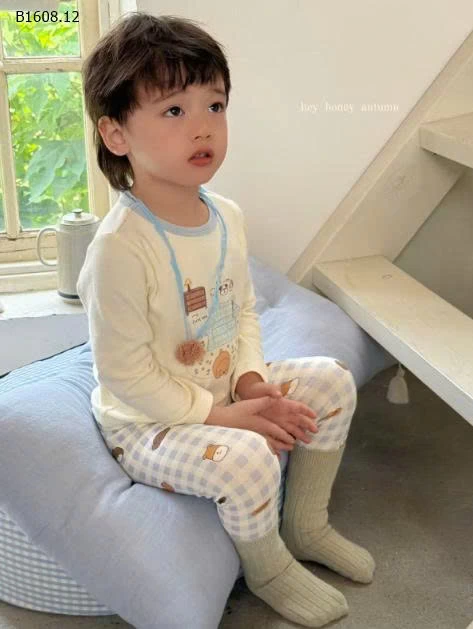 BỘ NGỦ HOẠT HÌNH DÀI TAY HEY.HONEY-Sỉ giá  sz 90-130: 165k sz 140-150: 189k 