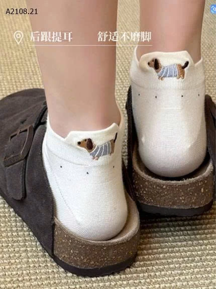   SET 10 ĐÔI TẤT CỔ NGẮN CHO NỮ - Sỉ giá 57k/set 10 đôi