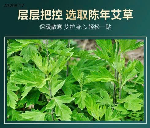 Miếng dán tỏa nhiệt ngải cứu - Sỉ 90k/ set 2 túi ( mỗi túi 10 miếng)