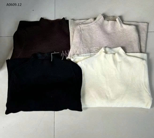 áo len lót lông siêu xinh-Giá sỉ 118k 