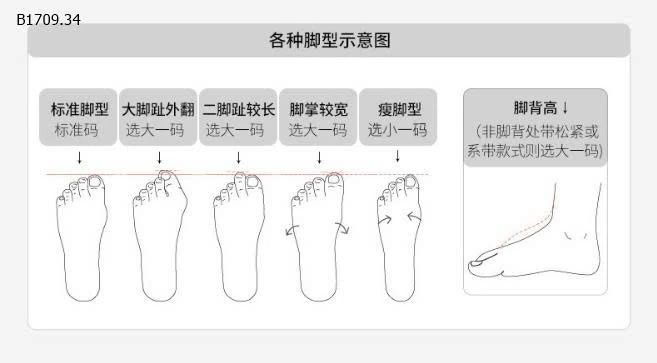 GIÀY THỂ THAO PHỐI MÀU HÌNH MÈO- sỉ 139k