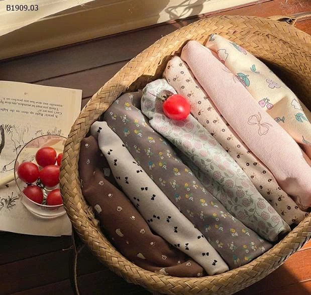 BỘ NGỦ HÀN thu đông CHO BÉ nhà AMBB  -Giá sỉ  size : 80-150 giá 132k  size : 160 giá 150k