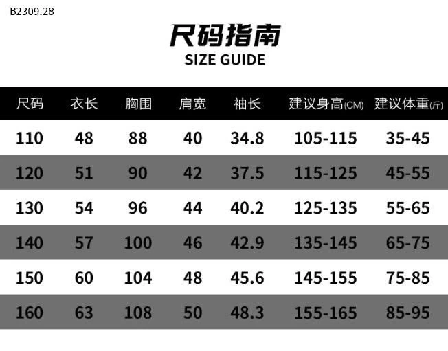 ÁO THUN CHỮ DÀI TAY BT - sỉ 142k