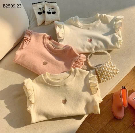 Áo thun dài tay thêu họa tiết tình yêu phong cách Hàn Quốc cho bé- sỉ giá 100k