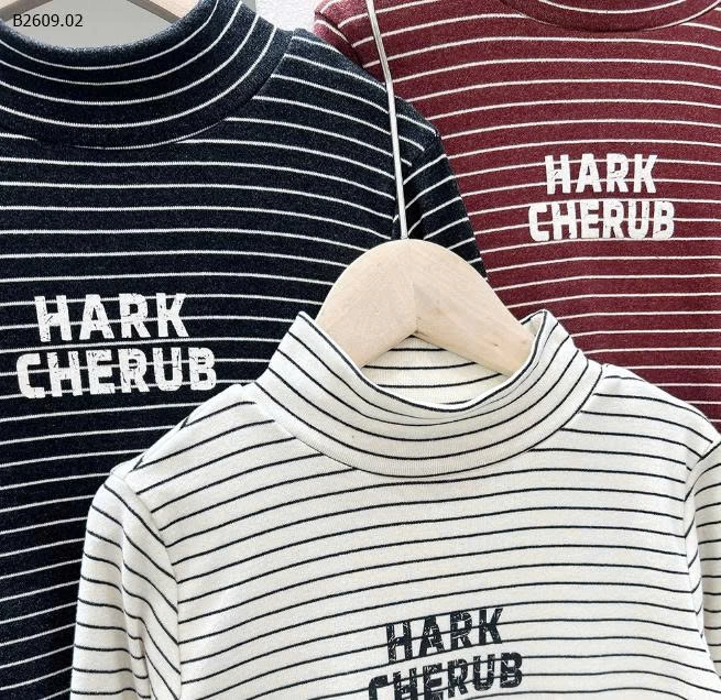 ÁO GIỮ NHIỆT KẺ KACADY- sỉ 100k