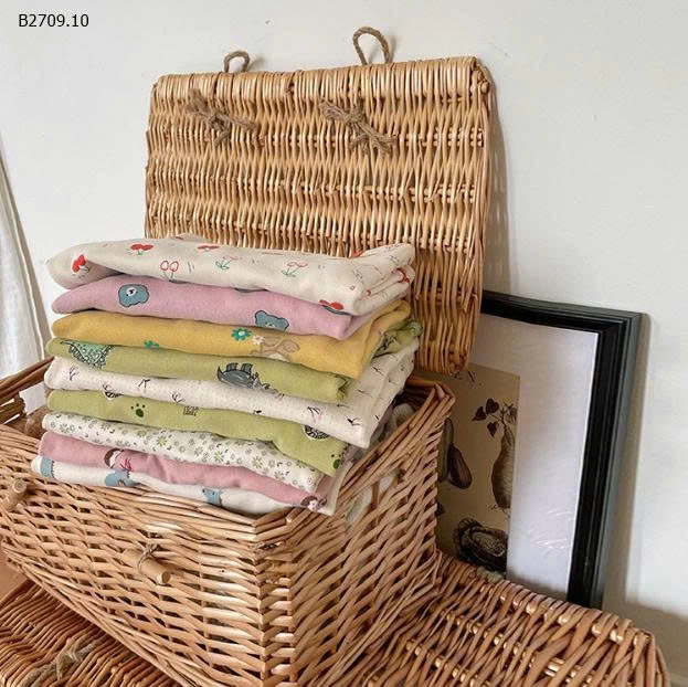 Bộ quần áo mặc nhà hoạt hình mùa thu đông cho bé  AMBB-Giá sỉ 138k