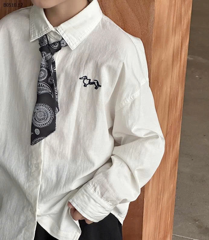 SƠ MI AMBB THÊU NGỰC -Giá sỉ Giá: 90-150: 163k 160: 178k 170: 194k