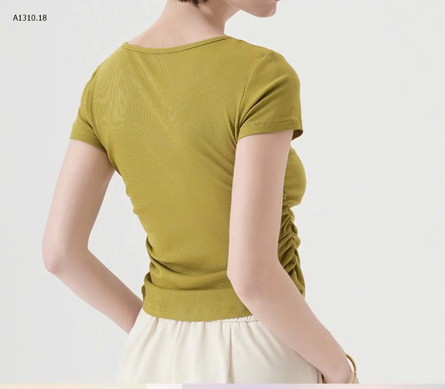 ÁO THUN CANVAUS - sỉ 175k