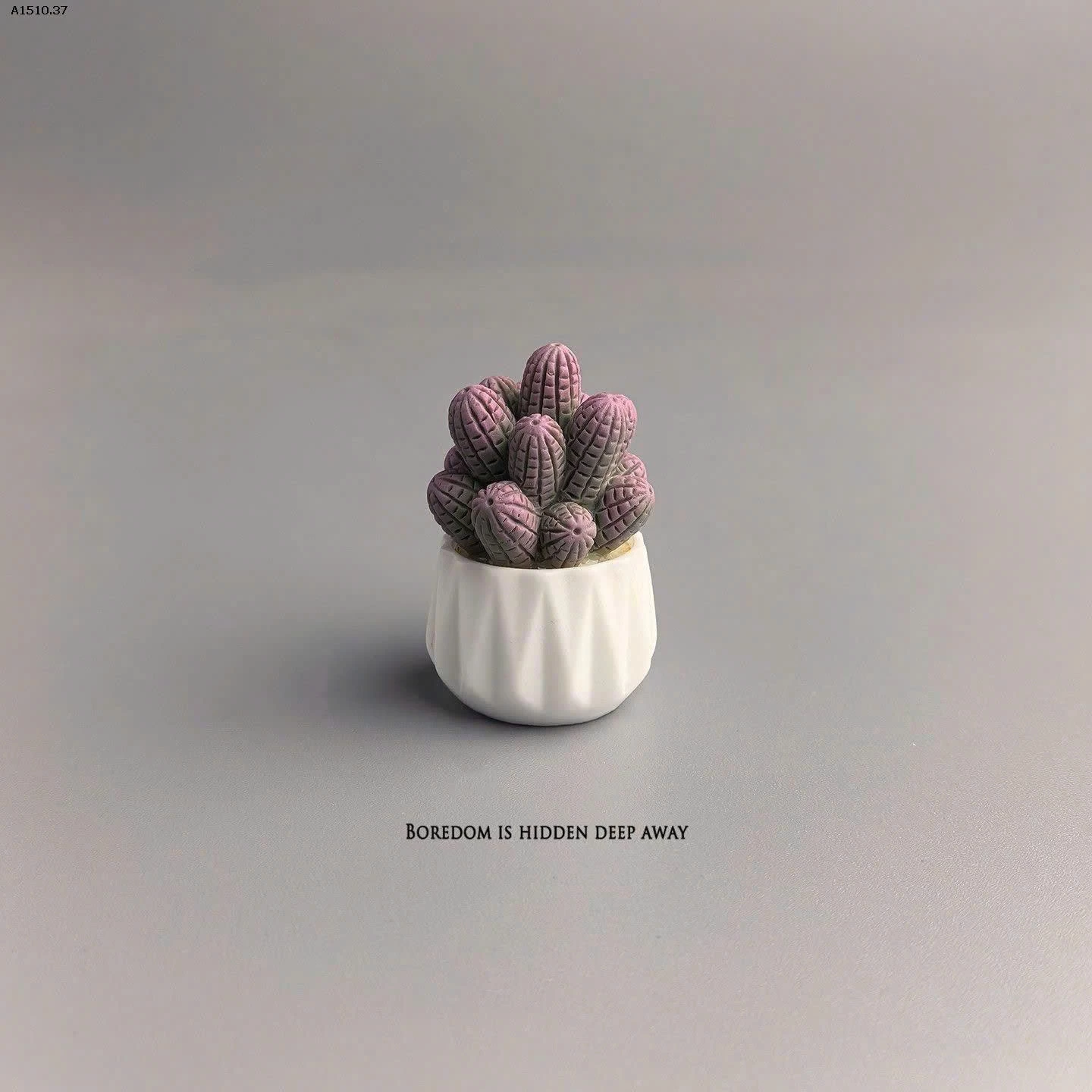 SET 5 CÂY XƯƠNG RỒNG DECORE  - sỉ 46k/set