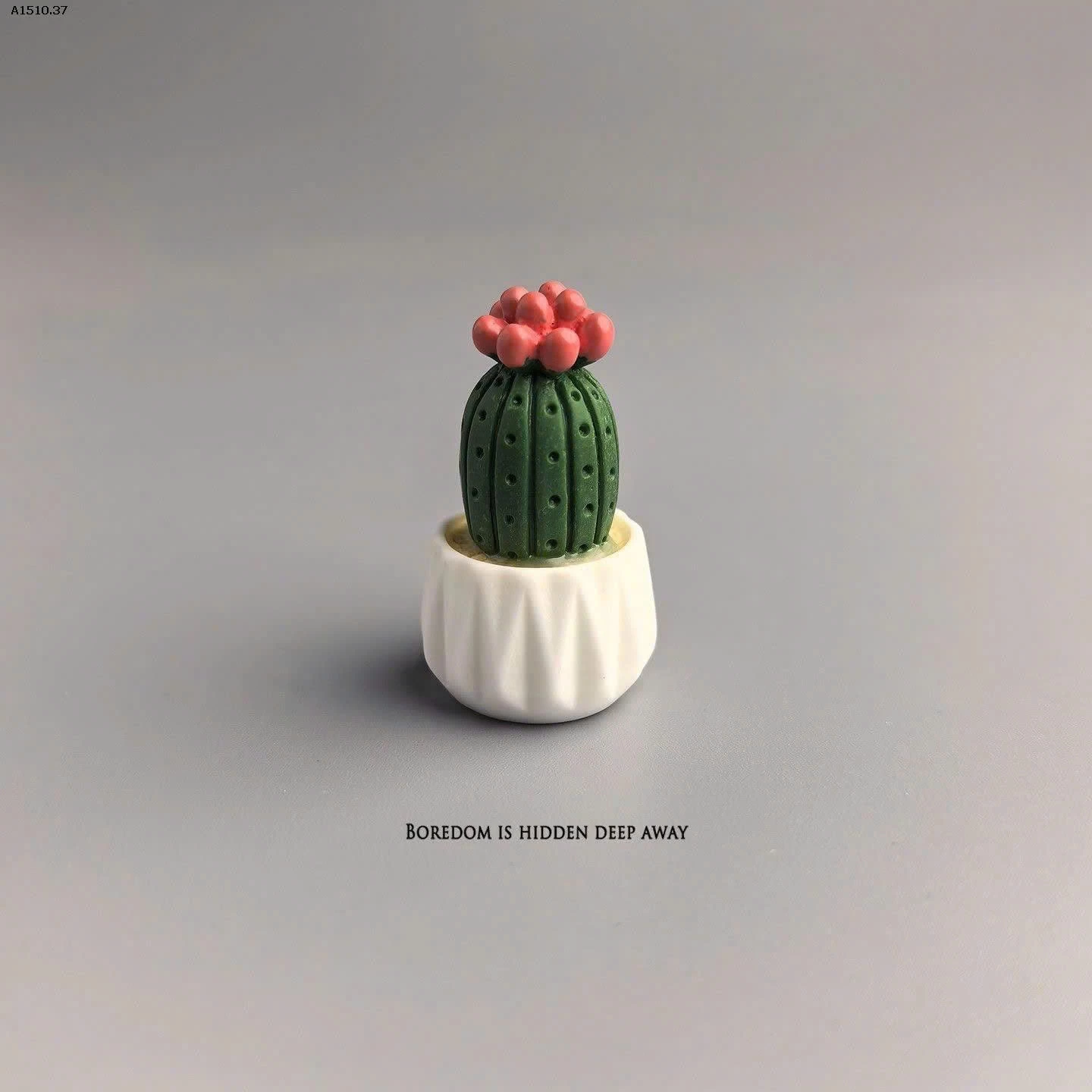 SET 5 CÂY XƯƠNG RỒNG DECORE  - sỉ 46k/set