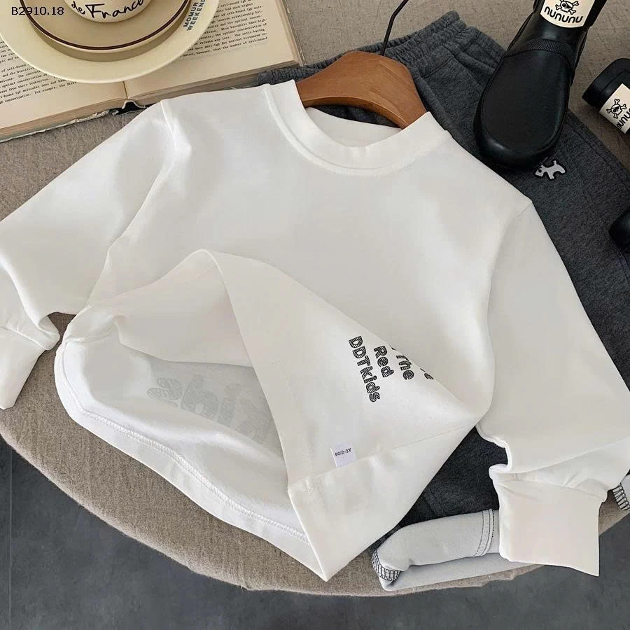 Áo thun nam chải kỹ mùa thu 2025 - sỉ 123k