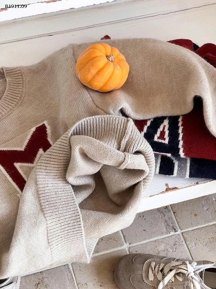 ÁO LEN CHỮ AMBBKIDS-Giá sỉ sz 90-150: 1555k    sz  160: 167k