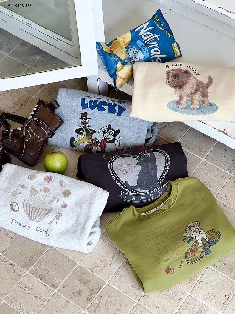 ÁO HOODIE  AMBB LÓT NỈ-sỉ Sz 90-150 : 200k              160-170 : 230k