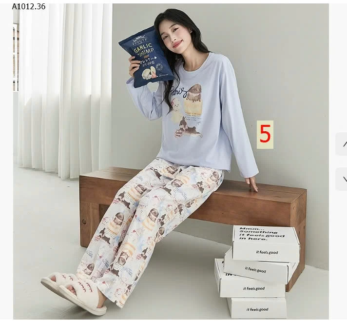 BỘ NGỦ DÀI TAY KÈM BRA-sỉ 150k