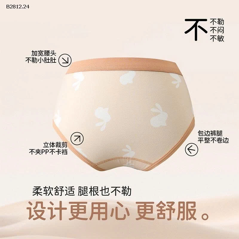 SET 4 QUẦN CHIP TAM GIÁC CHO BÉ -Giá sỉ 115k