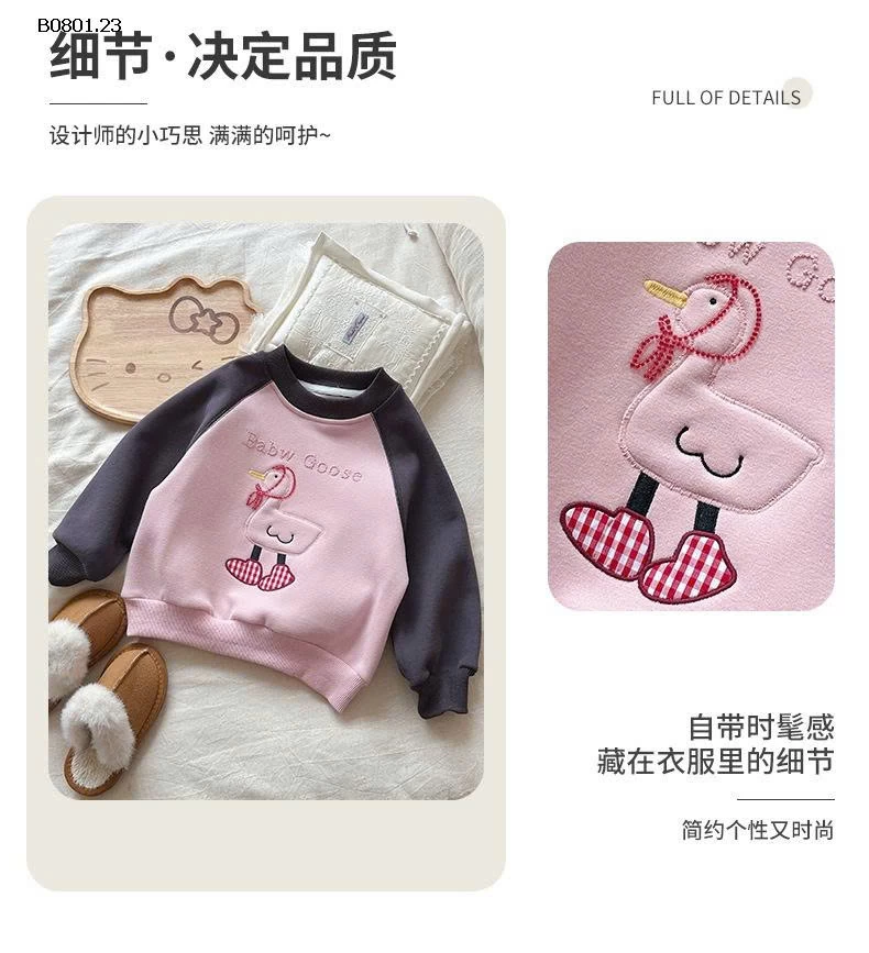 ÁO NỈ HOẠT HÌNH PHỐI MÀU -Giá sỉ 198k