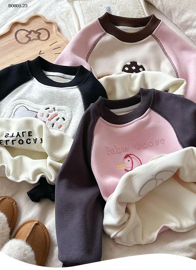 ÁO NỈ HOẠT HÌNH PHỐI MÀU -Giá sỉ 198k