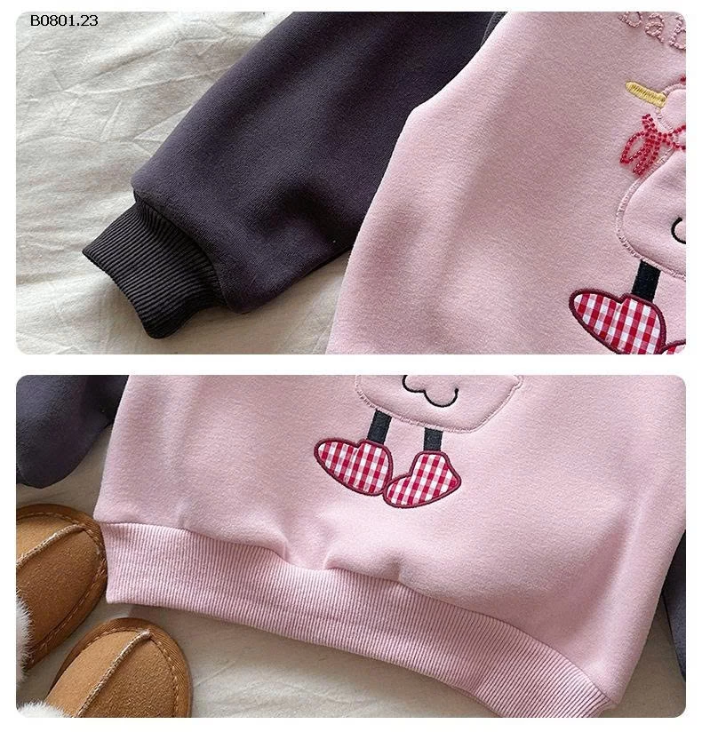 ÁO NỈ HOẠT HÌNH PHỐI MÀU -Giá sỉ 198k