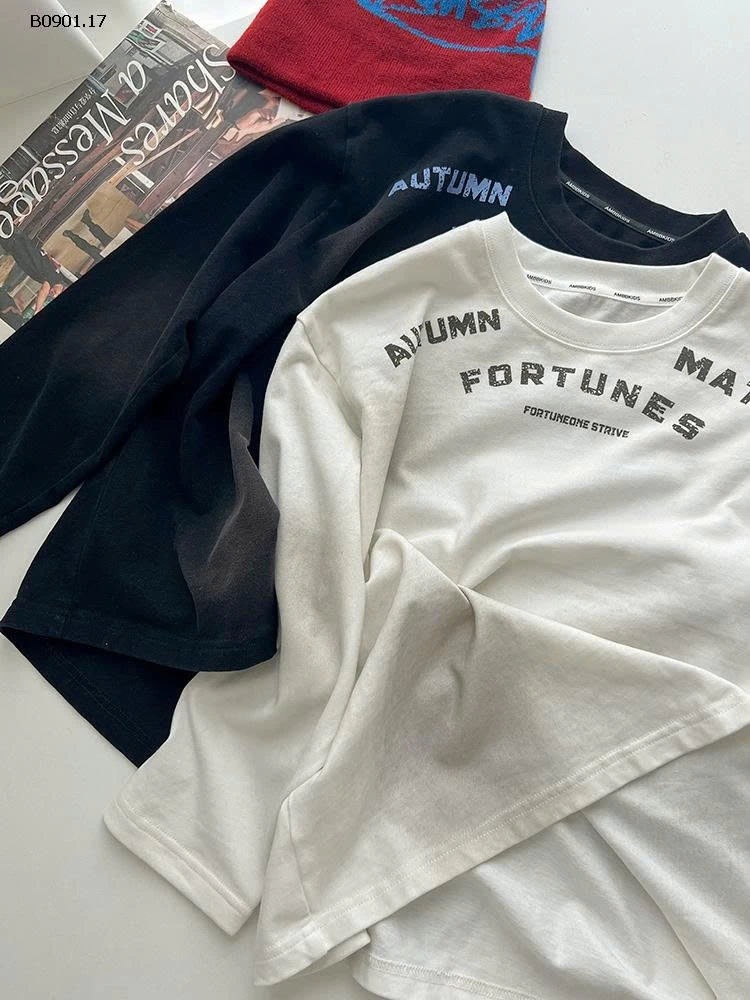 ÁO THUN DÀI TAY AMBB CHO BÉ -sỉ Sz 90-150 : 124k                 Sz 160 : 133k                 Sz 170 : 142k