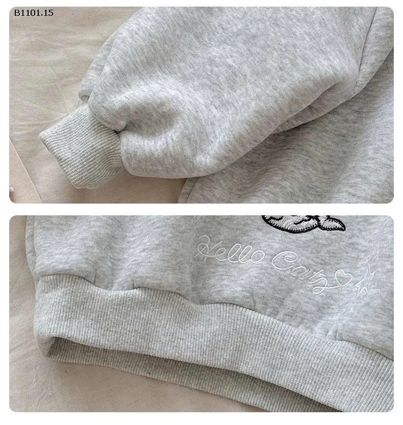 Áo nỉ dày dặn lót lông cừu kiểu dáng mới mùa đông 2025 - giá sỉ 188k