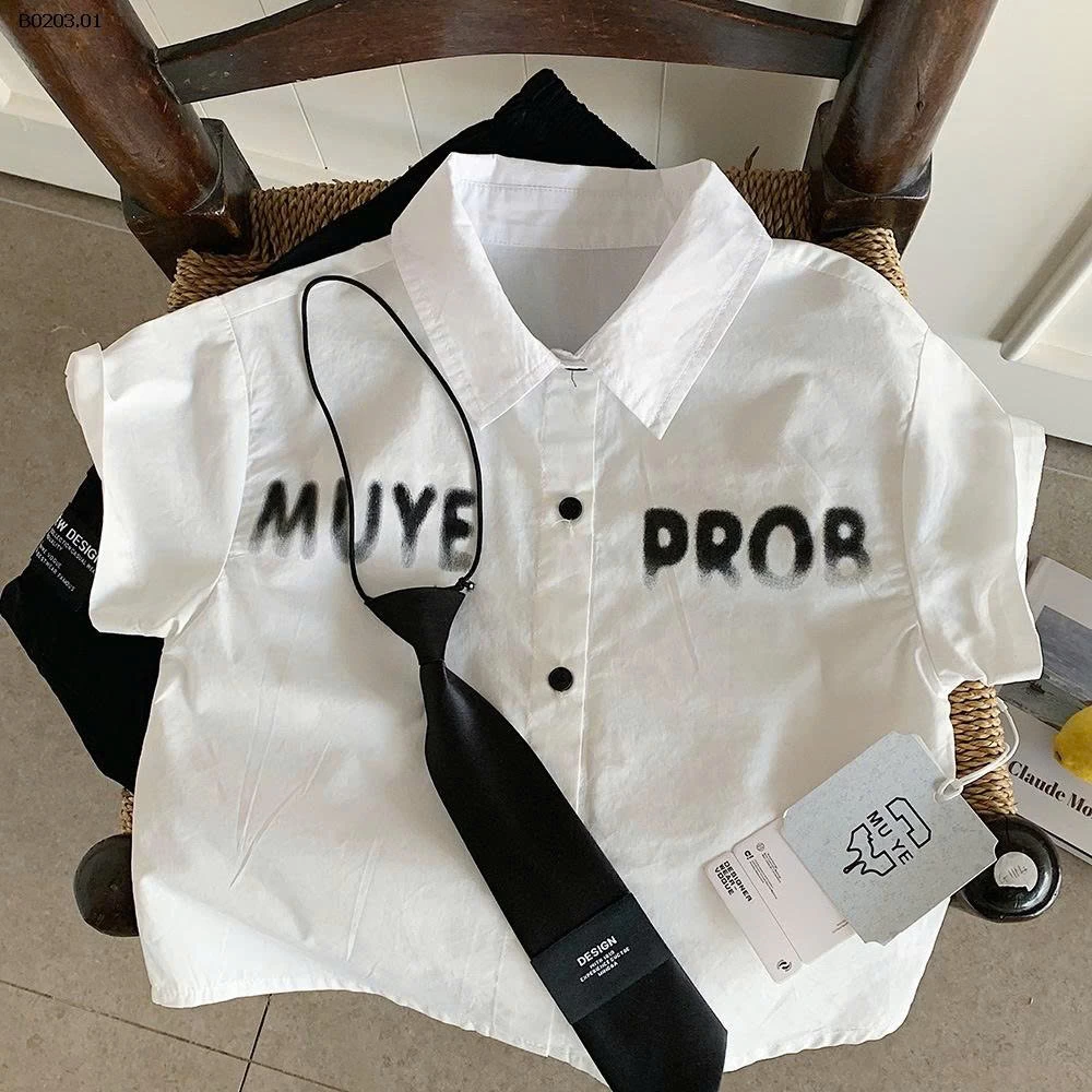 ÁO SƠ MÌ KÈM CÀ VẠT - sỉ 158k