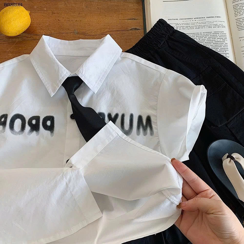 ÁO SƠ MÌ KÈM CÀ VẠT - sỉ 158k