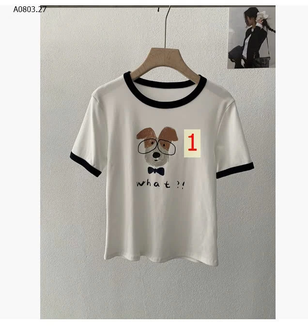 ÁO THUN CÚN CỔ TRÒN- sỉ 143k